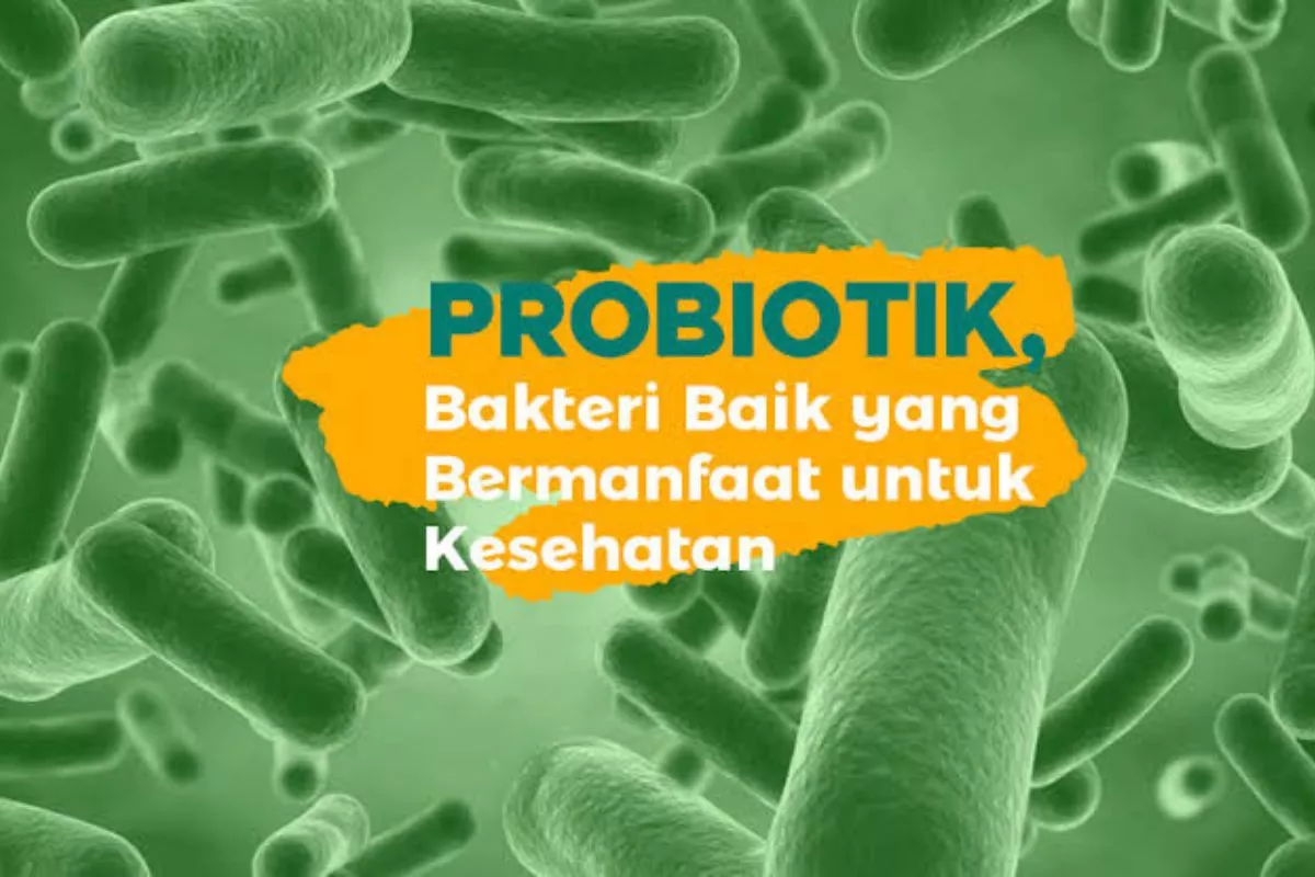 Panduan Lengkap Probiotik, Manfaat, Dosis, dan Efek Sampingnya
