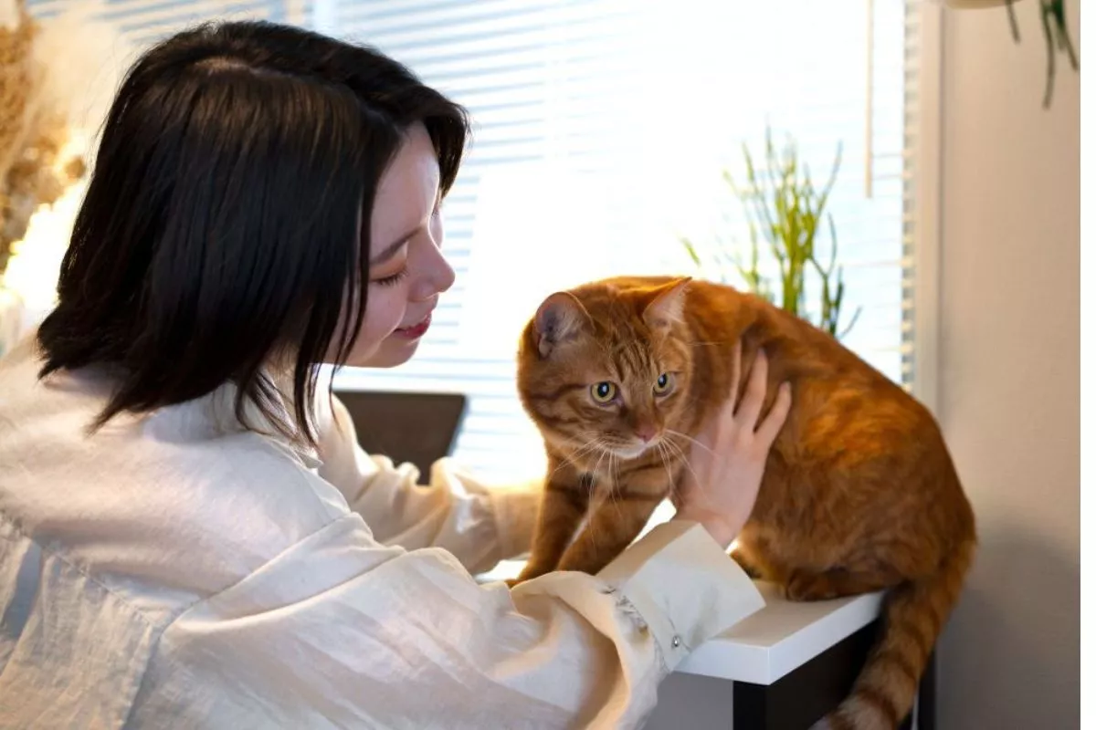 Tips Perawatan Kucing Rumah agar Tetap Sehat dan Ceria
