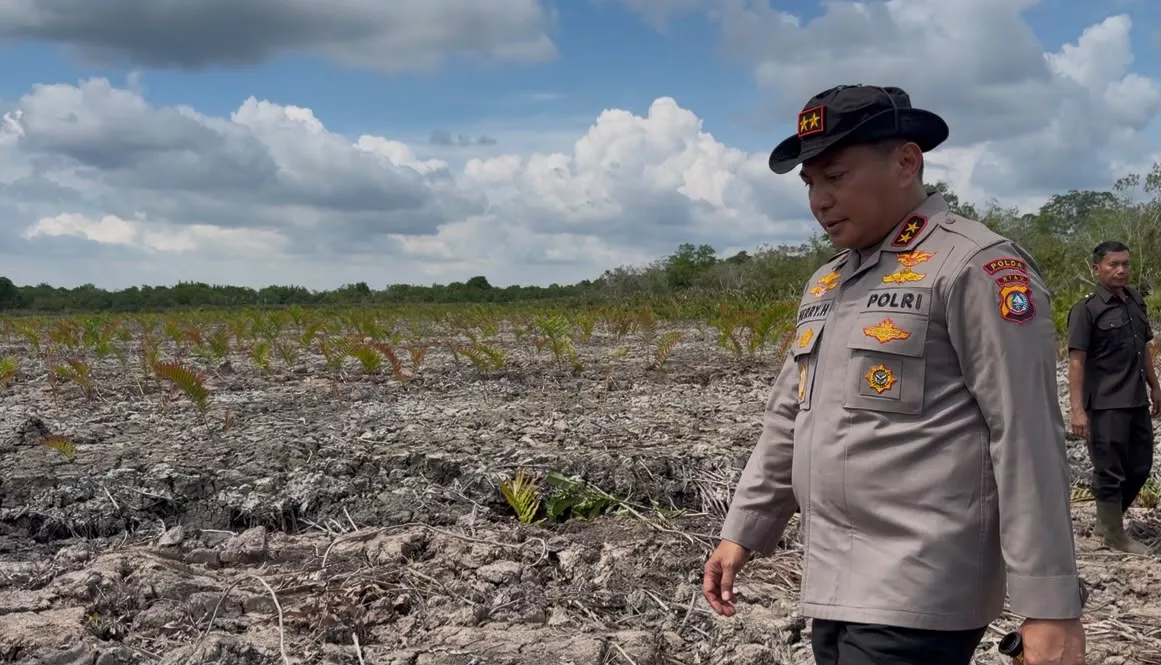 Geram Lihat Mangrove Dirusak, Kapolda Riau: Tidak Ada Toleransi