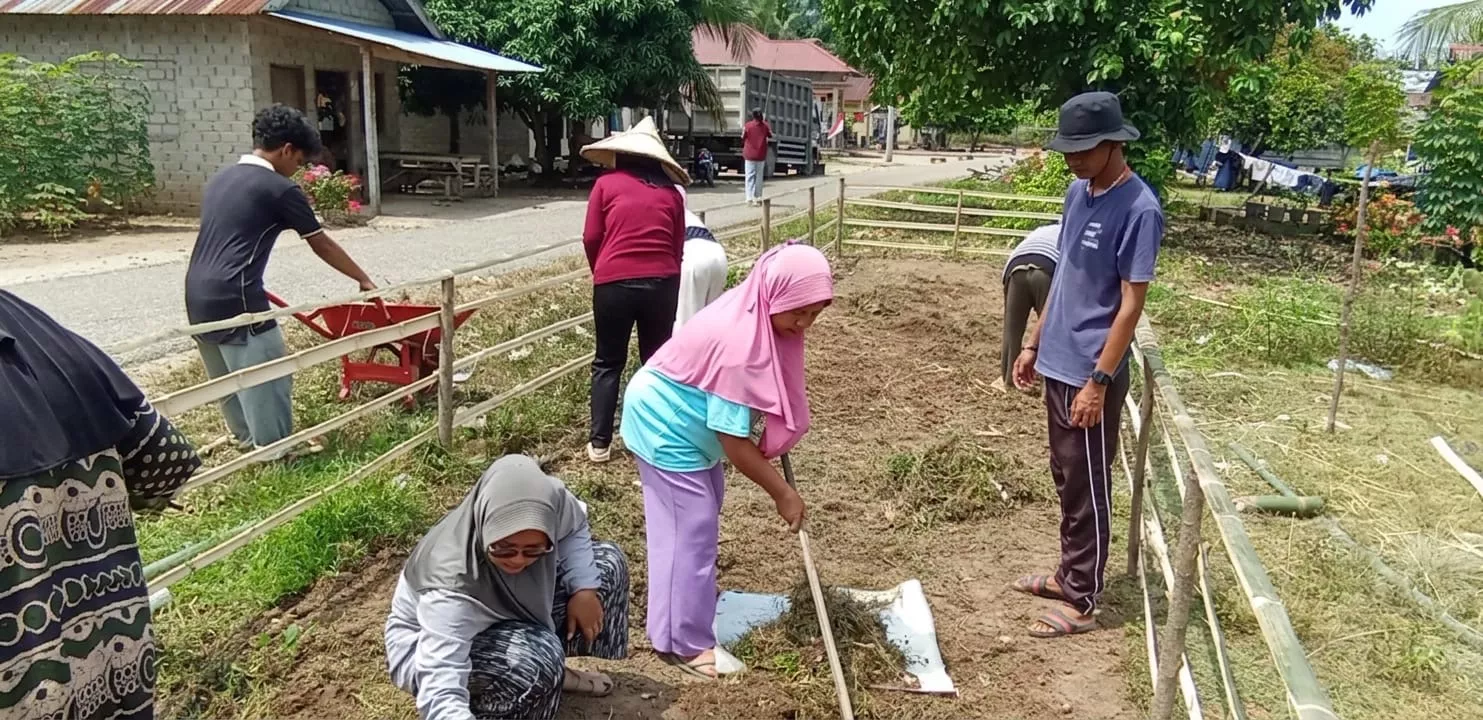 Edukasi Pemanfaatan Tanaman Obat, KKN Kelompok 67 UMRI Hadirkan Demplot TOGA di Pulau Kumpai