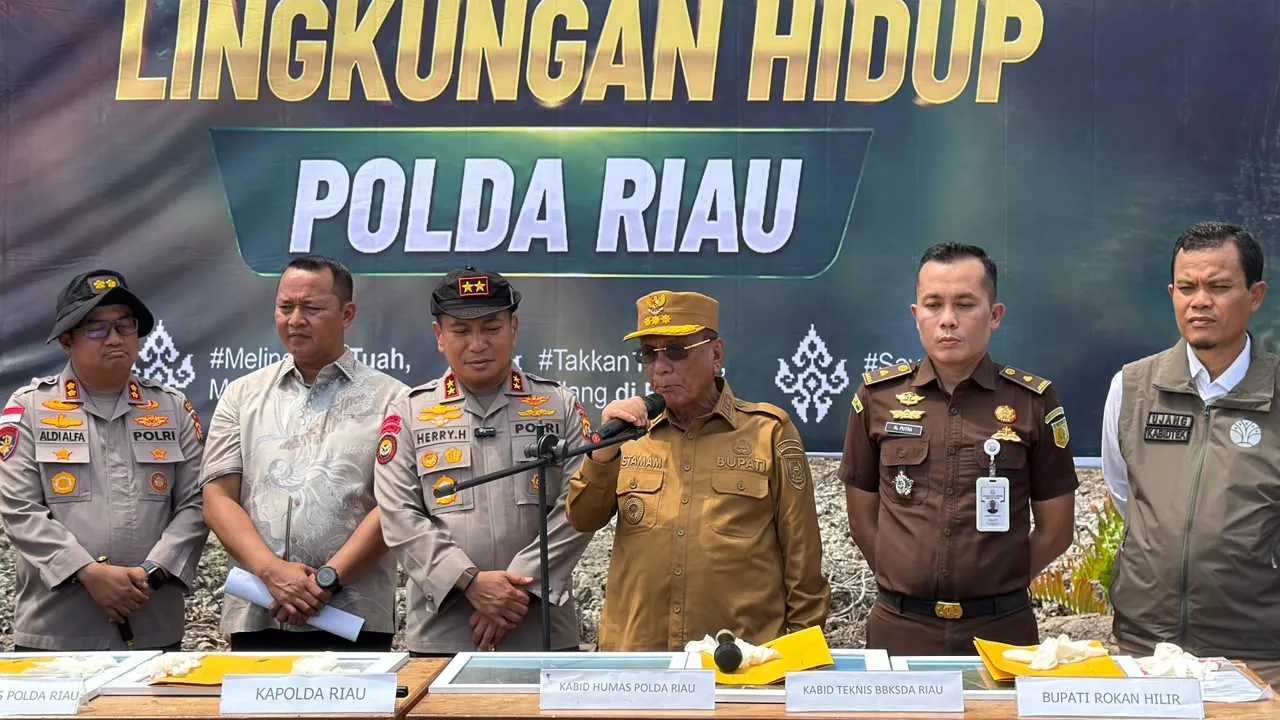 Perambah Mangrove Ditangkap, Bupati Rohil: Harus Jadi Efek Jera