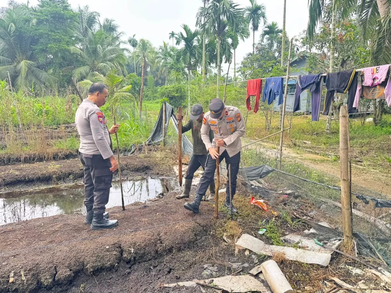 Polisi dan Petani Bersinergi, Setengah Hektare Lahan di Tembilahan Ditanami Jagung