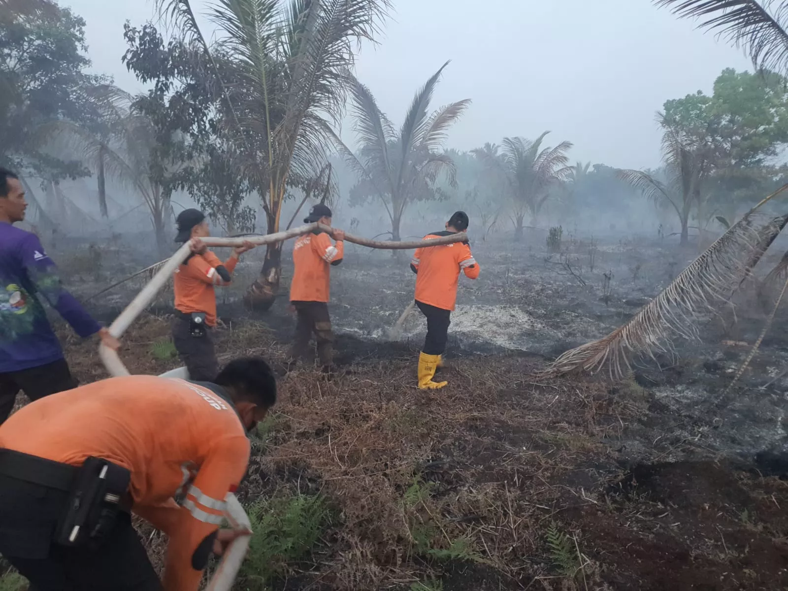 Sinergi PT RSUP sigap Padamkan Karhutla di Pulau Burung
