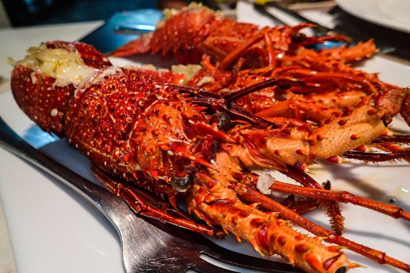 Lobster dulunya dianggap sebagai hidangan yang menjijikan tetapi kini nilainya sangat mahal. Foto: Istock