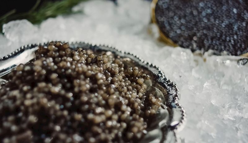 Kelangkaan ikan sturgeon dan budidaya sulit membuat caviar kini menjadi hidangan mewah. Foto: Taste Atlas