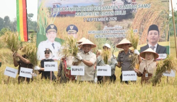 Panen Padi Rambah Baru Capai 8,9 Ton per Hektare, Bukti Penguatan Ketahanan Pangan Rohul