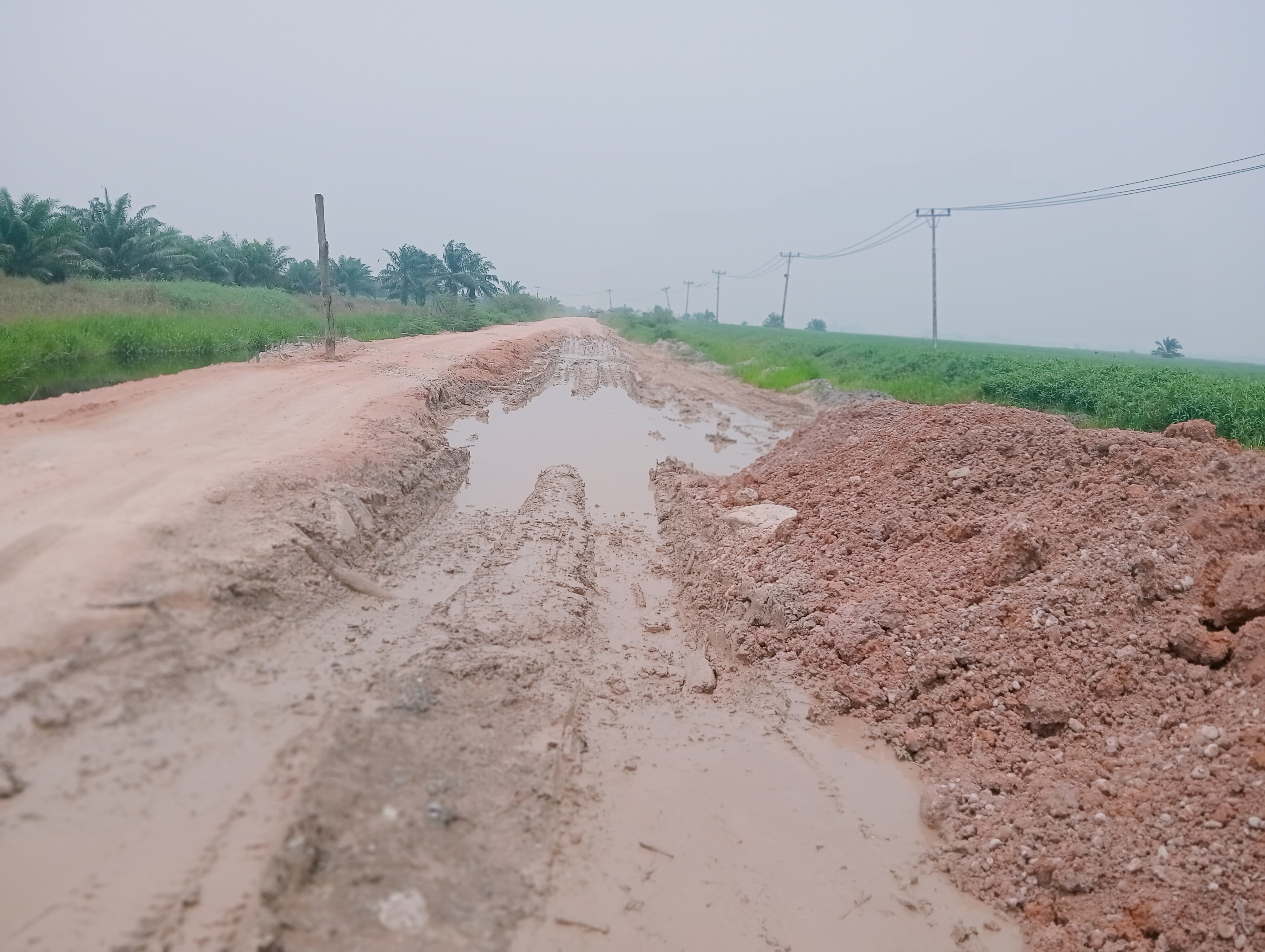Jalan Lintas Sontang-Duri Rusak Parah,minta perhatian pemerintah.