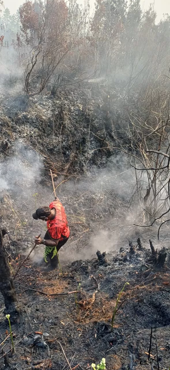 Yampit Nawipa Gerak Cepat Padamkan Api di Paniai Bersama TNI-Polri