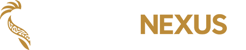 logo papuanexus.com