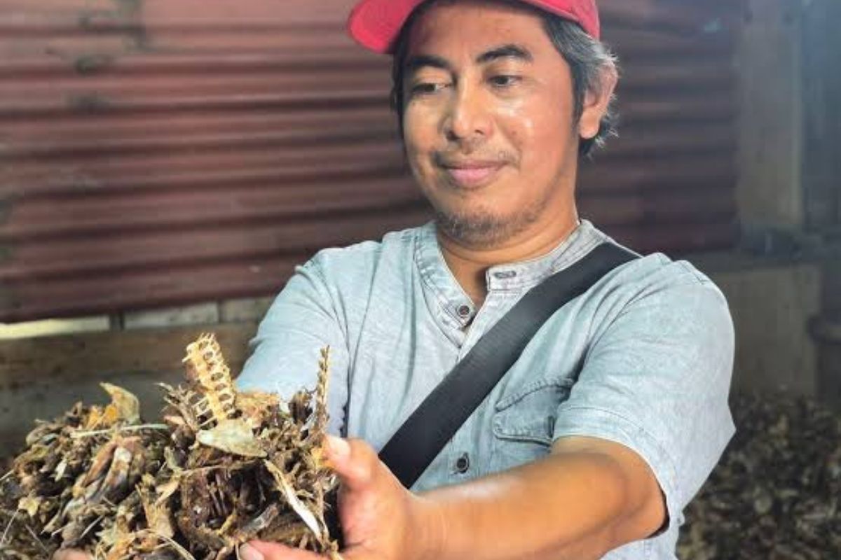 Pengolahan Kepala Ikan Tongkol di Cilincing Serap Tenaga Kerja