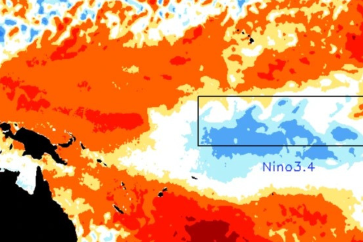 Jepang Resmi Deklarasikan El Nino 2026, Dunia Mulai Bersiap