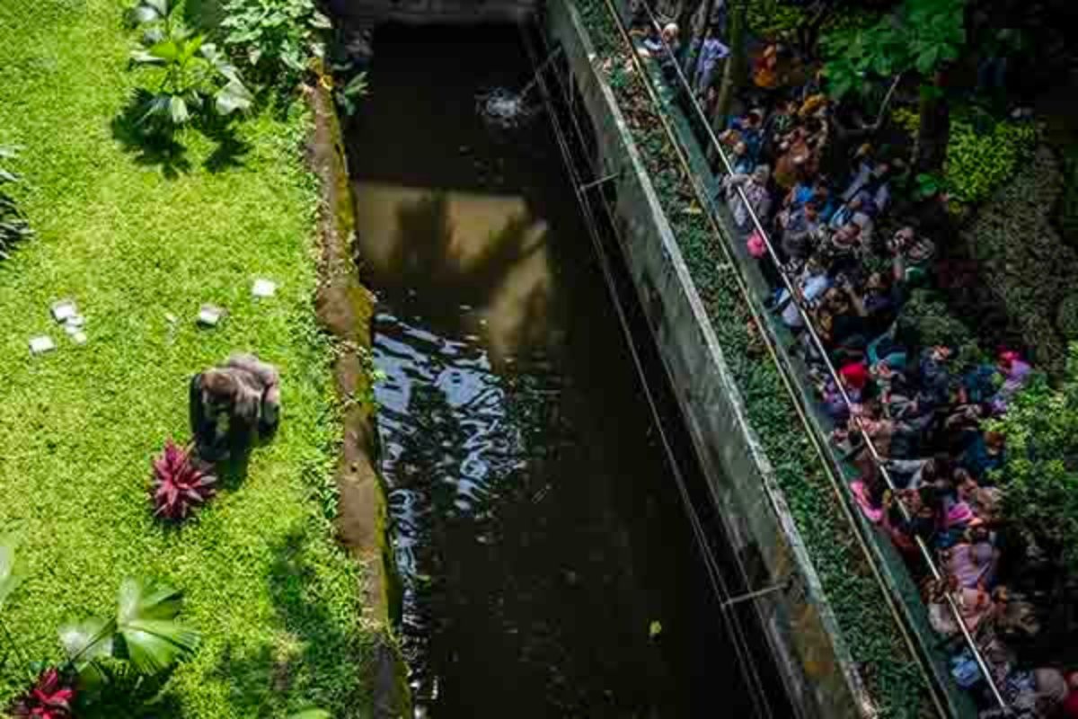 Spesial HUT Jakarta ke-499: Masuk Ragunan hingga Monas Gratis