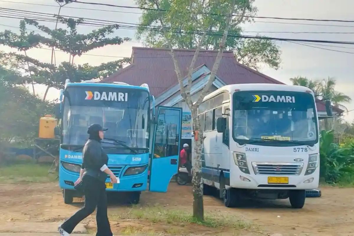Jadwal dan Tarif Bus DAMRI Rute Tana Tidung-Tanjung Selor 8 Mei 2026