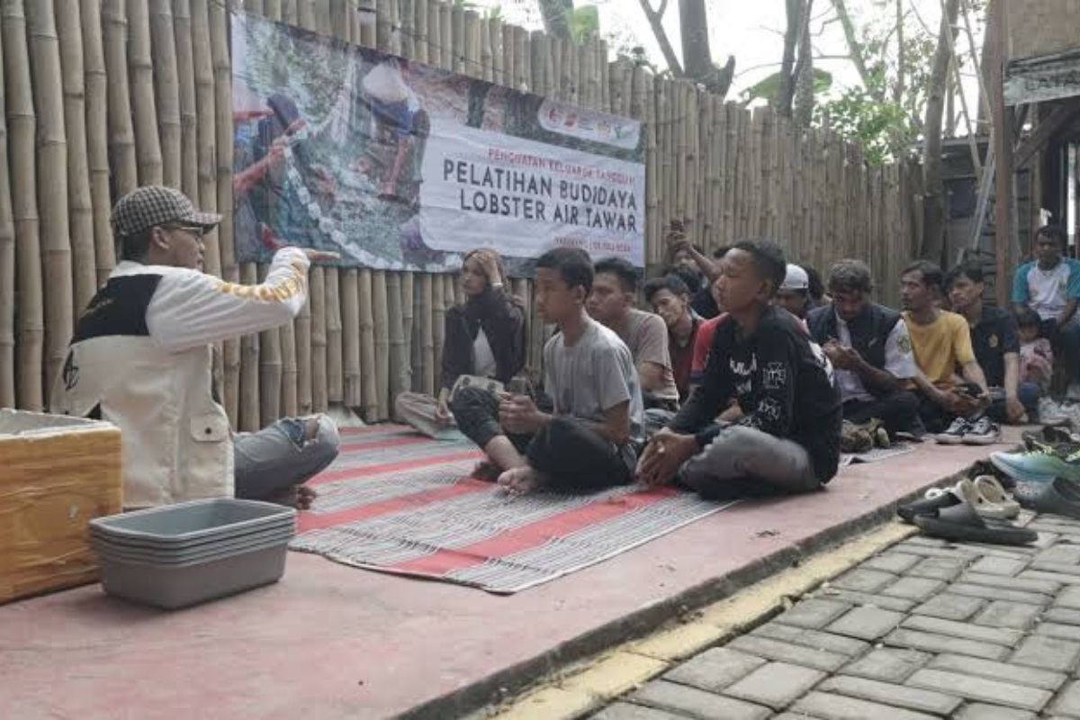 Dompet Dhuafa Latih Pemuda Budi Daya Lobster Air Tawar