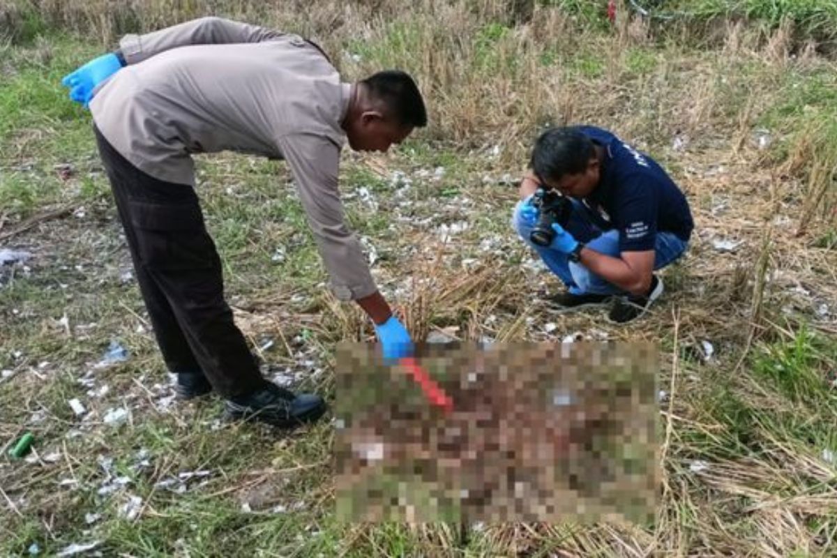 Tragedi Idul Adha di Blitar: Petasan Balon Udara Tewaskan 1 Orang