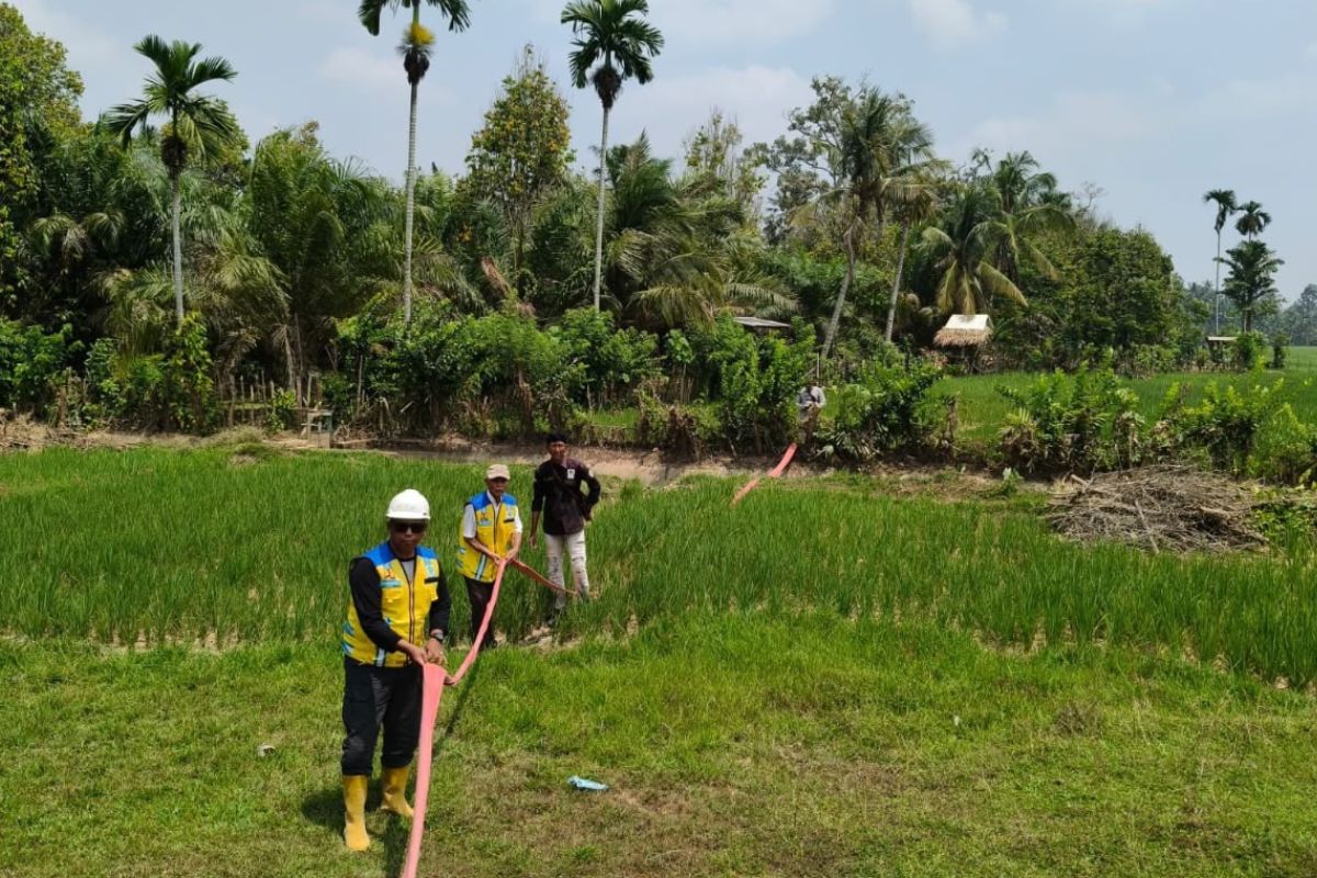 Menteri PU Dody Hanggodo Tekan Risiko Gagal Panen Petani Jambi