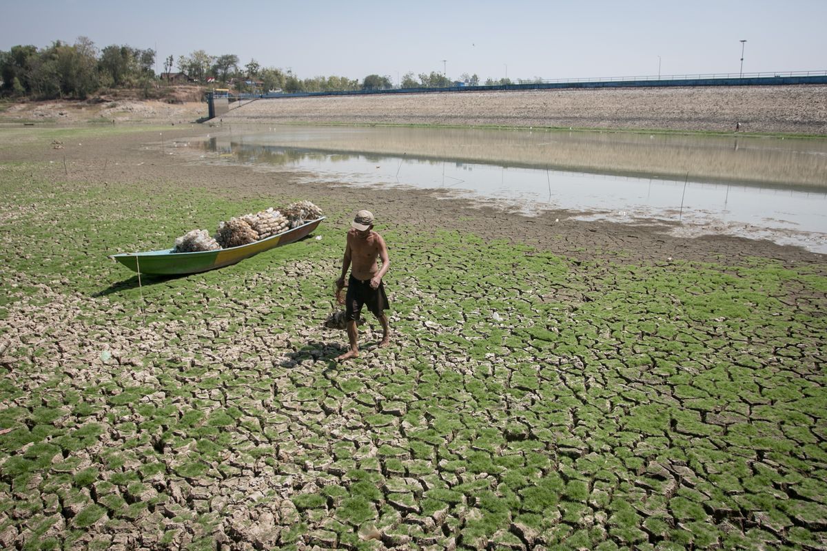 Ancaman El Nino 2026: Pemerintah Siapkan Mitigasi dan Pompa Air