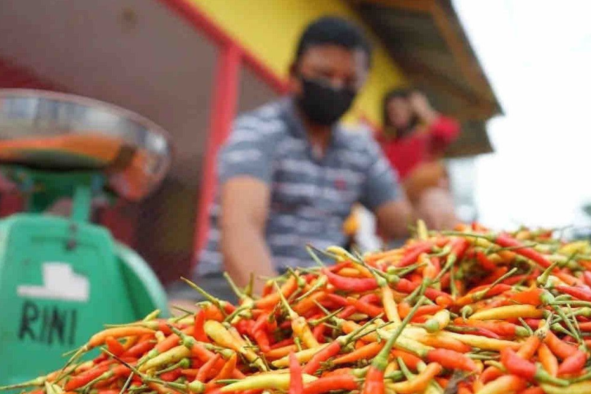 Harga Cabai Rawit Merah Melejit, Sentuh Rp 100.000 per Kg Hari Ini