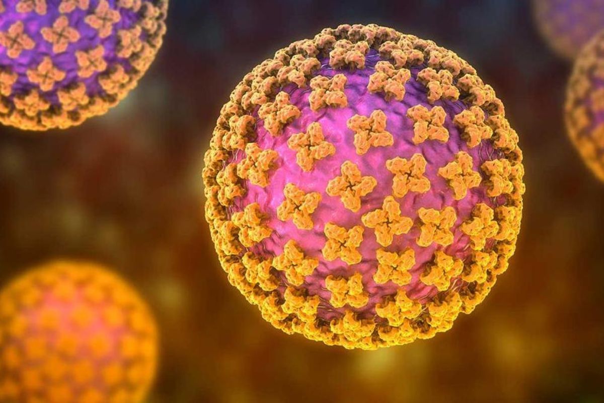 Kemenkes: 23 Kasus Hantavirus di 9 Provinsi, Jakarta Terbanyak