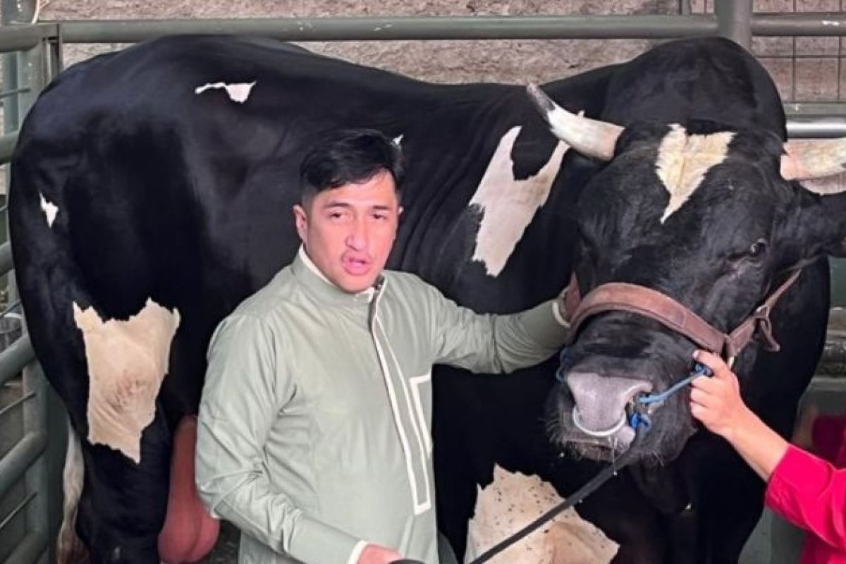 Rangkuman Berita: Hewan Kurban Irfan Hakim dan Ferrari Luce Elektrik