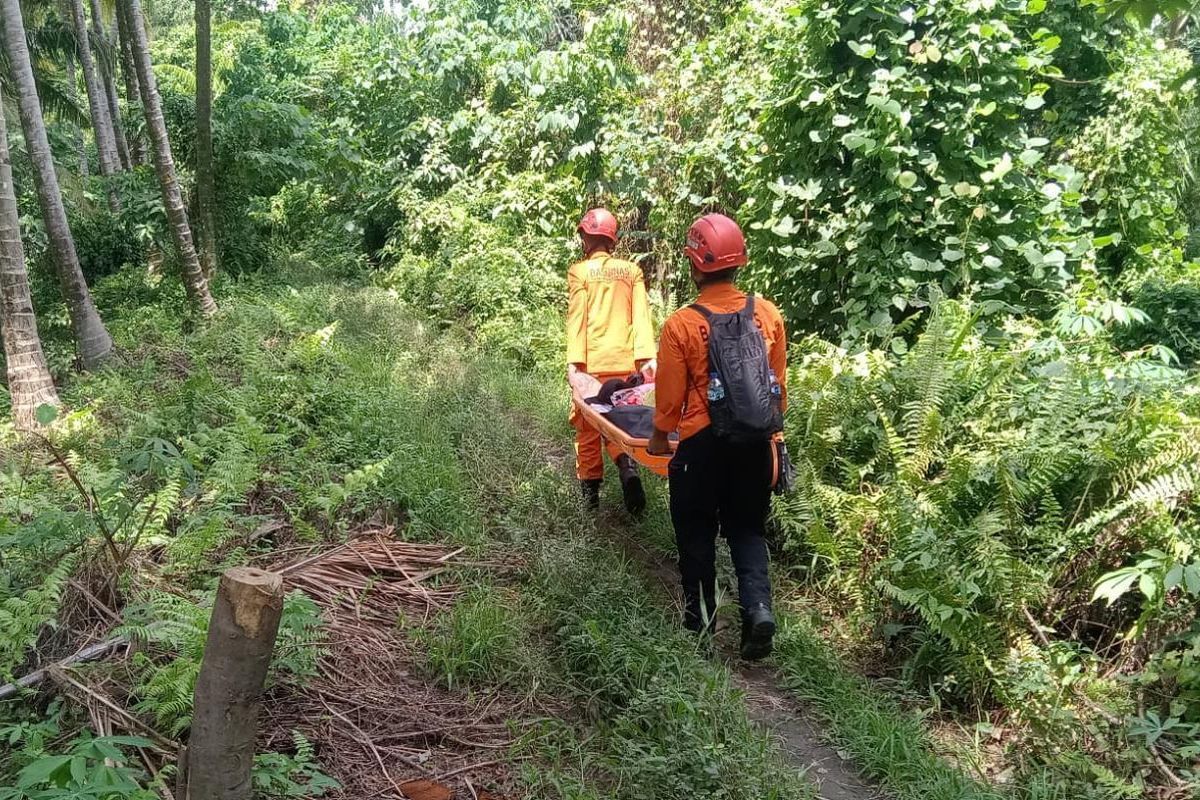 3 Fakta Evakuasi Pendaki Tewas Akibat Erupsi Gunung Dukono