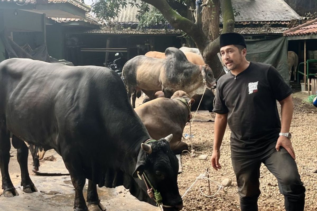 Kurban Irfan Hakim Bertambah hingga Wujud Ferrari Luce 2027