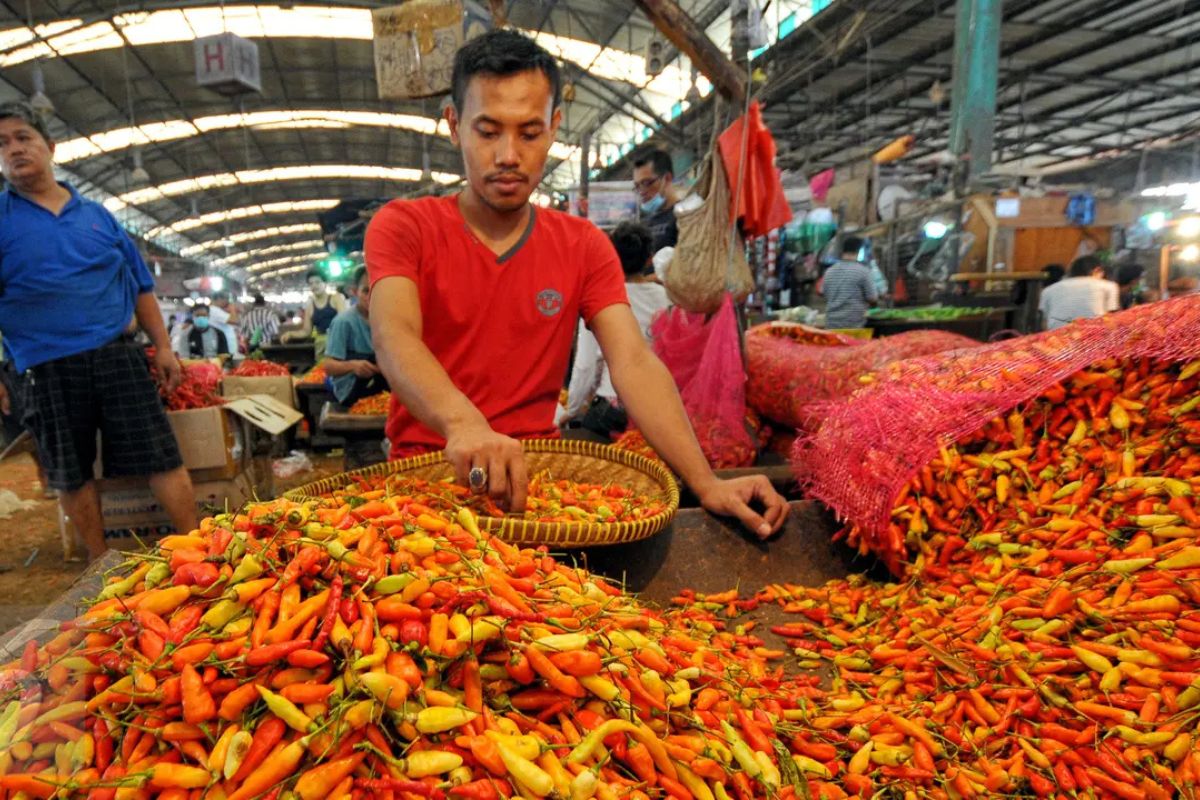 Update PIHPS: Cabai Rawit Tembus Rp75.700, Telur Ayam Rp30.200/kg