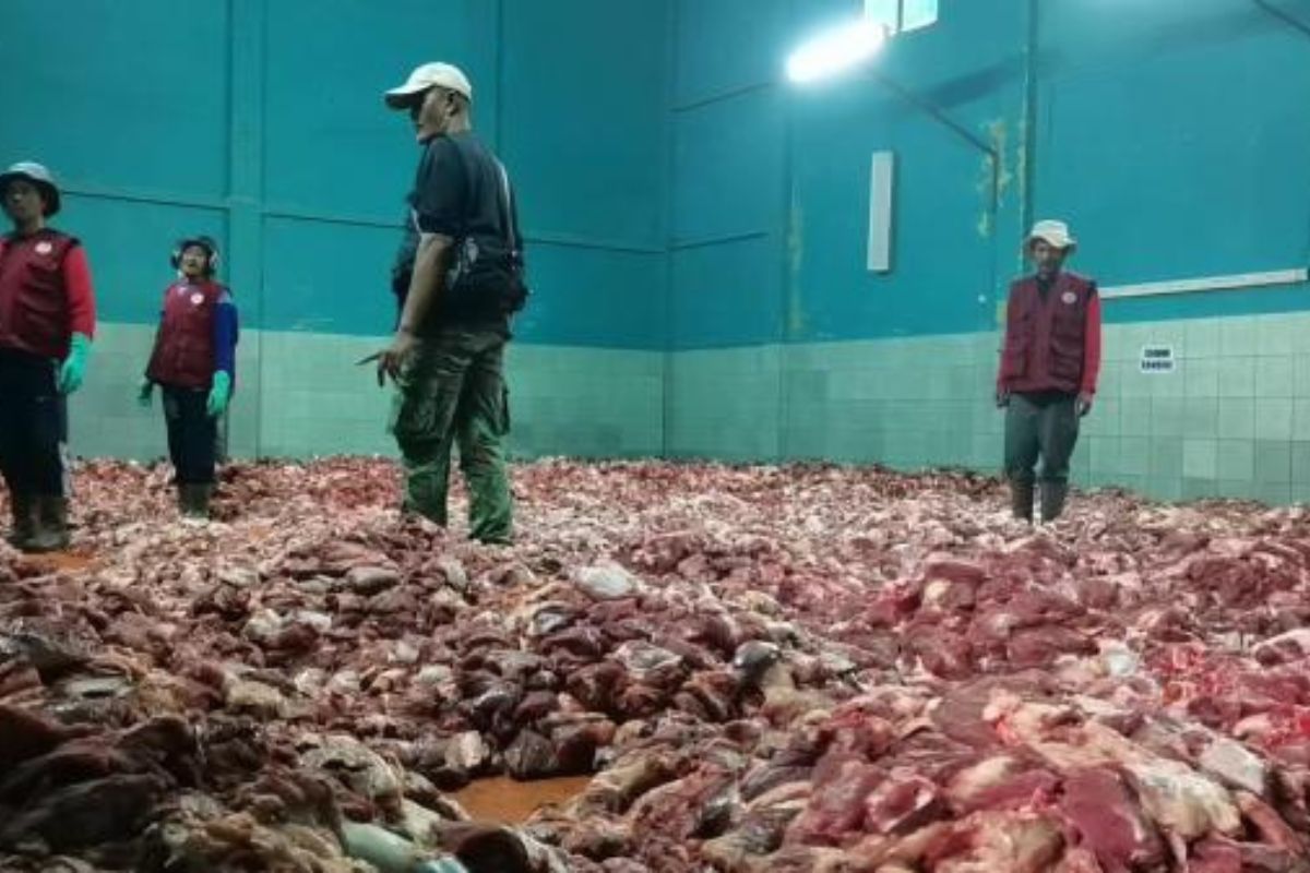 Krajan Banjarnegara Diprediksi Kembali Banjir Daging Kurban