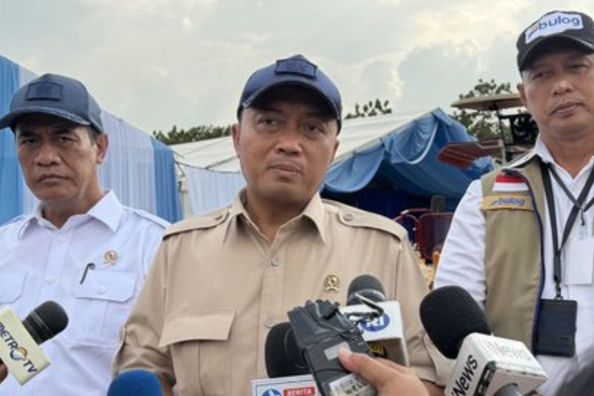 Sinergi Pemerintah dan Bulog Jaga Pangan 3T di Papua