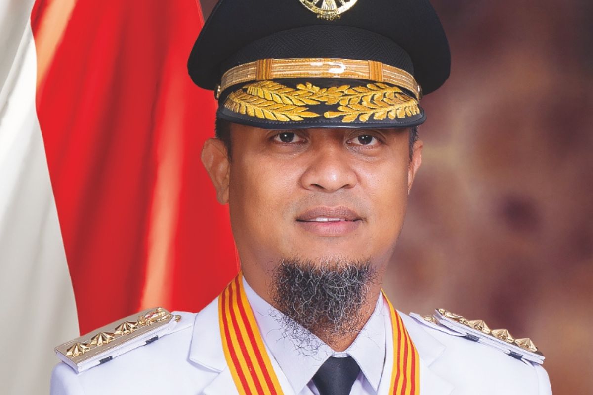 Sebab Protes Pohon Pisang, Ini Penjelasan Gubernur Sulsel