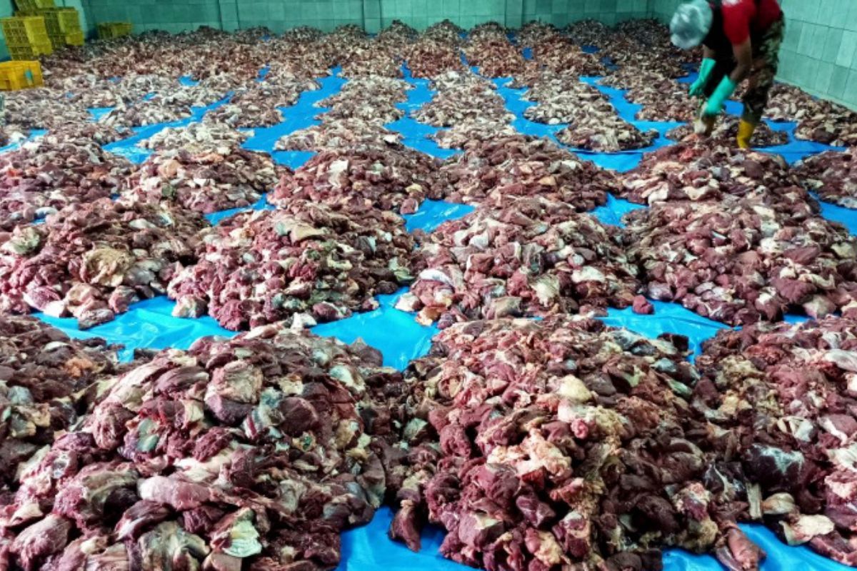 Potensi Daging Kurban Melimpah di Krajan Banjarnegara