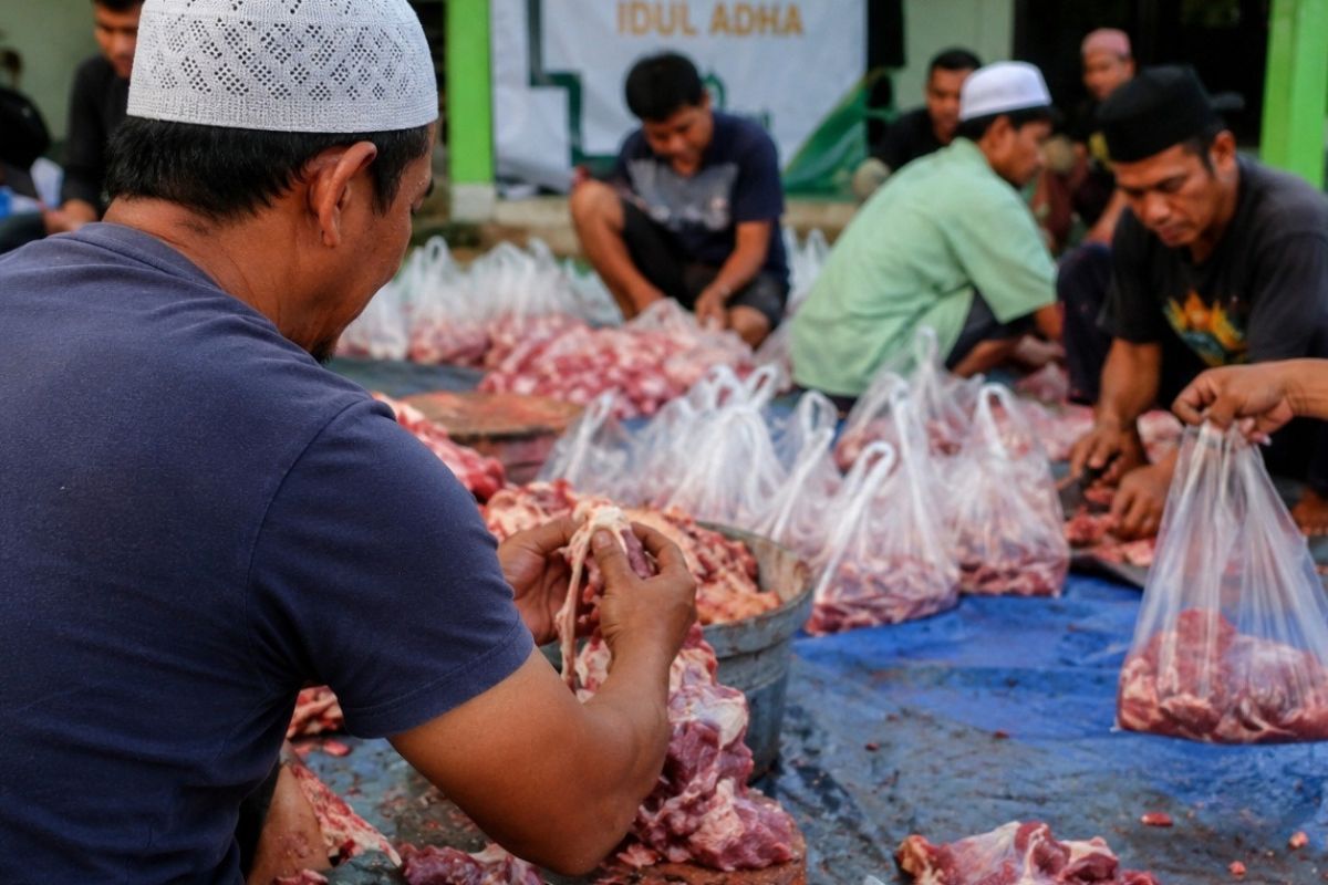 Bolehkah Menjual Daging Kurban? Ini Penjelasan Ulama