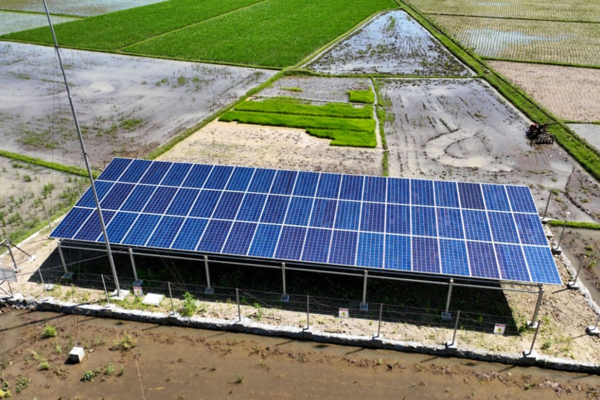 Petani Purworejo Rawat Pompa Tenaga Surya Lewat Tradisi Desa