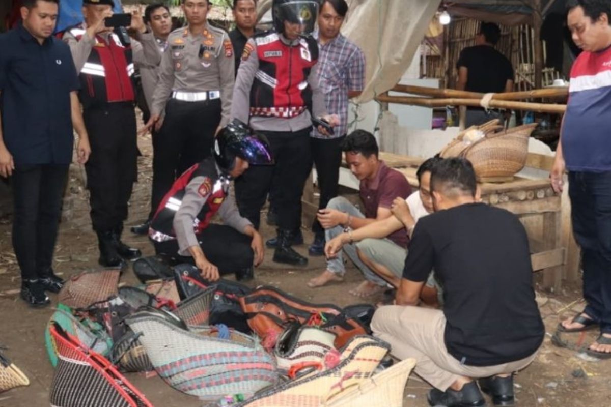 Polisi Gerebek Sabung Ayam di Tangerang, 2 Pelaku Ditangkap