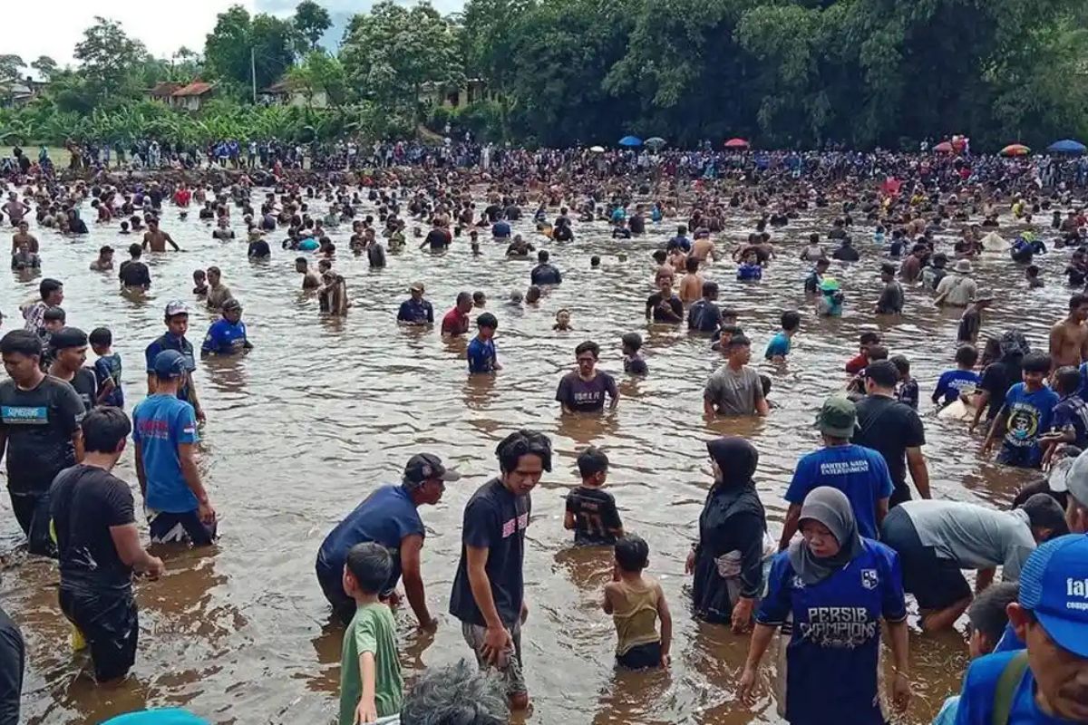 Bobotoh Serbu 1,5 Ton Ikan di Kolam Umuh Muchtar Rayakan Juara Persib