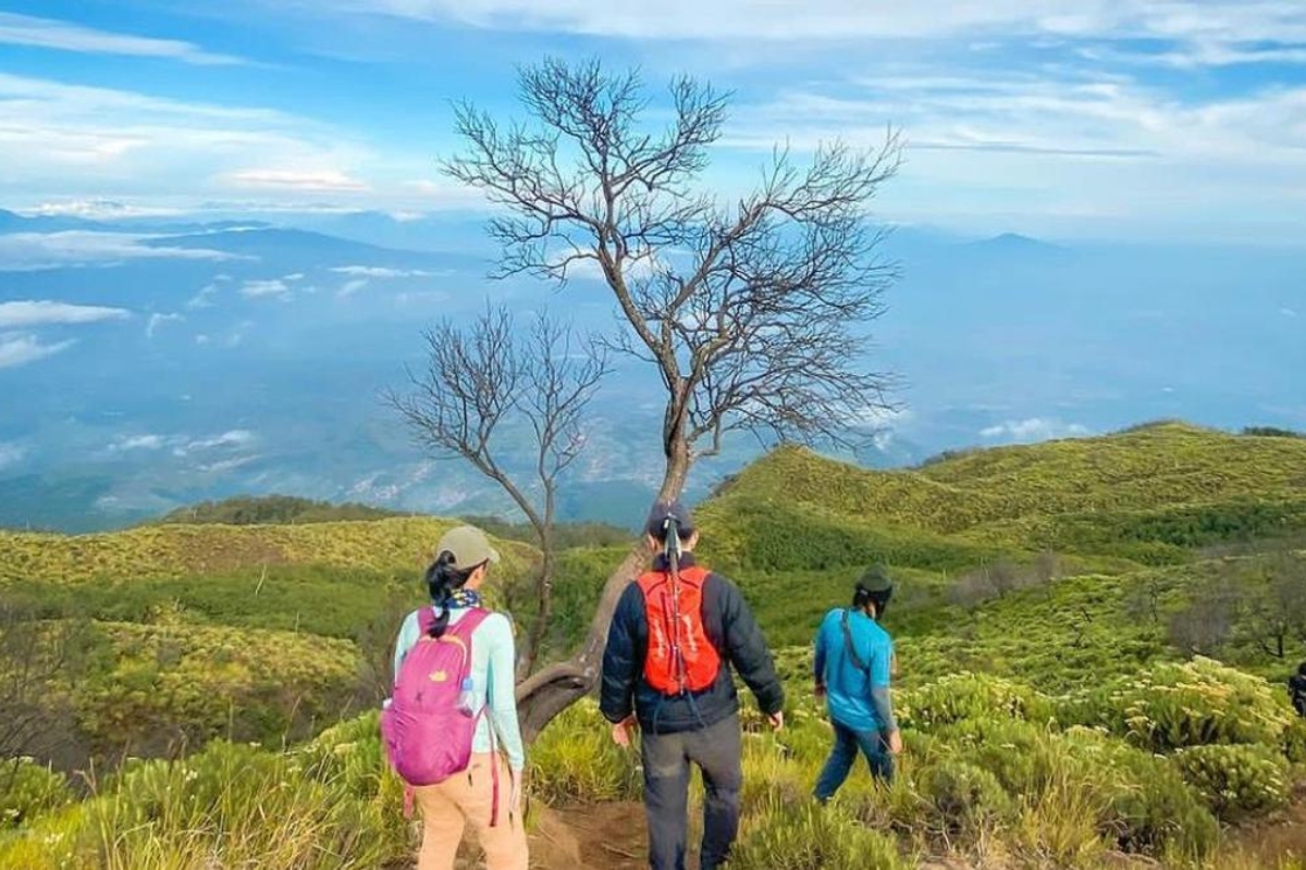 Gunung Ciremai: Rumah Macan Tutul dan Tower Air Vital Jawa Barat