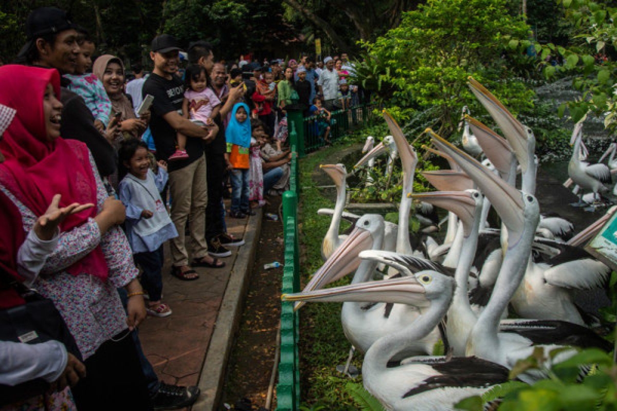 Ragunan Pecahkan Rekor Kunjungan Tertinggi Saat Puncak HUT Jakarta
