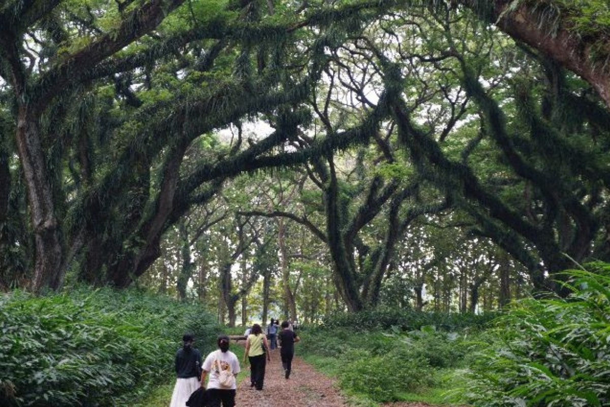 Libur Long Weekend, 47 Ribu Wisatawan Padati Banyuwangi