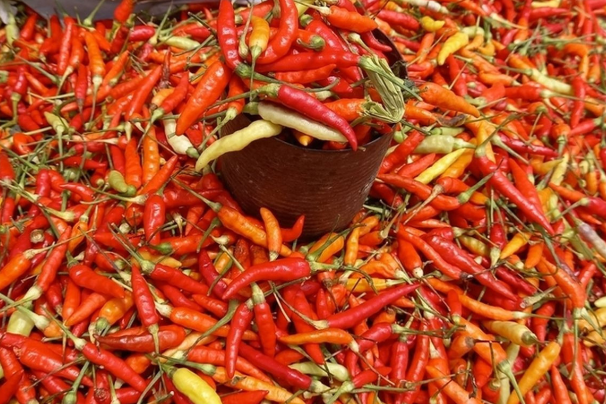 Update Harga Pangan Jumat Pagi: Cabai Rawit Merah Sentuh Rp69.750/Kg