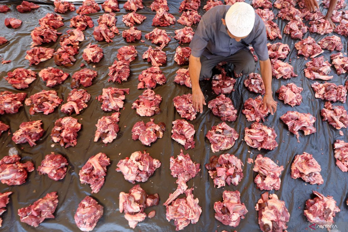 Hukum Memperjualbelikan Daging Kurban Menurut Para Ulama