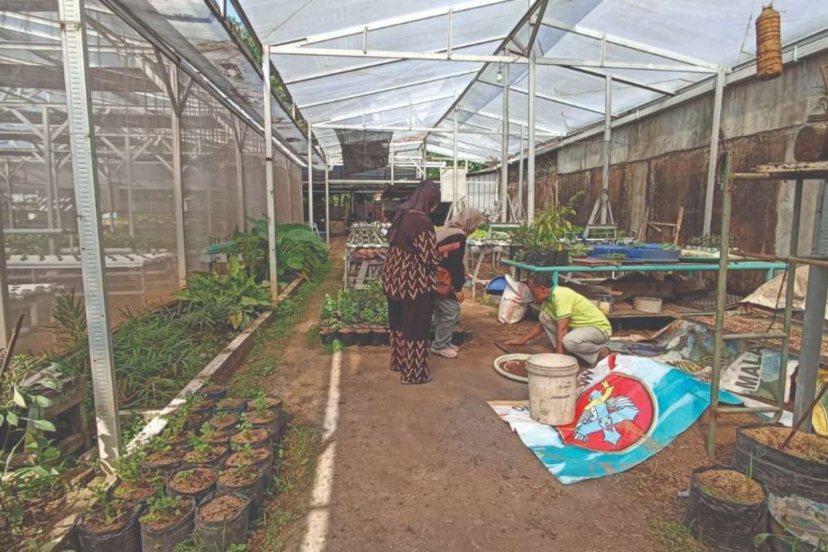 Keren! Warga Rawa Badak Selatan Ubah Lahan Sampah Jadi Kebun