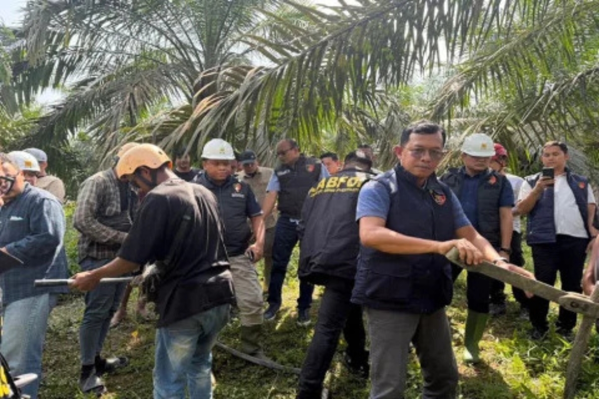 Bareskrim dan PLN Selidiki Putusnya SUTET Pemicu Blackout Sumatera