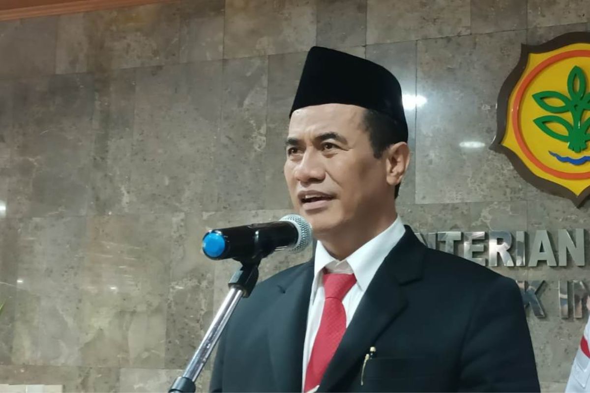 Di Depan Presiden, Mentan Sebut Harga TBS Sawit Kembali Normal