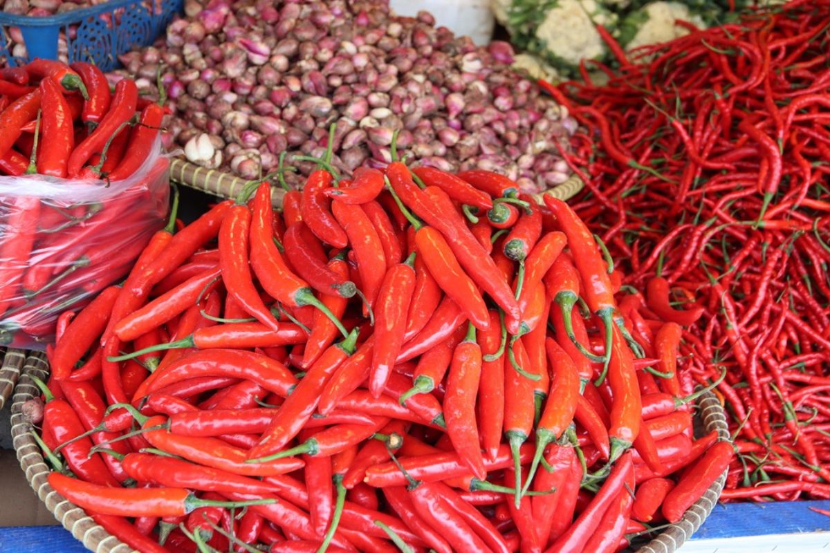 Update Harga Pangan 19 Juni 2026: Cabai Rawit Merah Rp 100.000/Kg