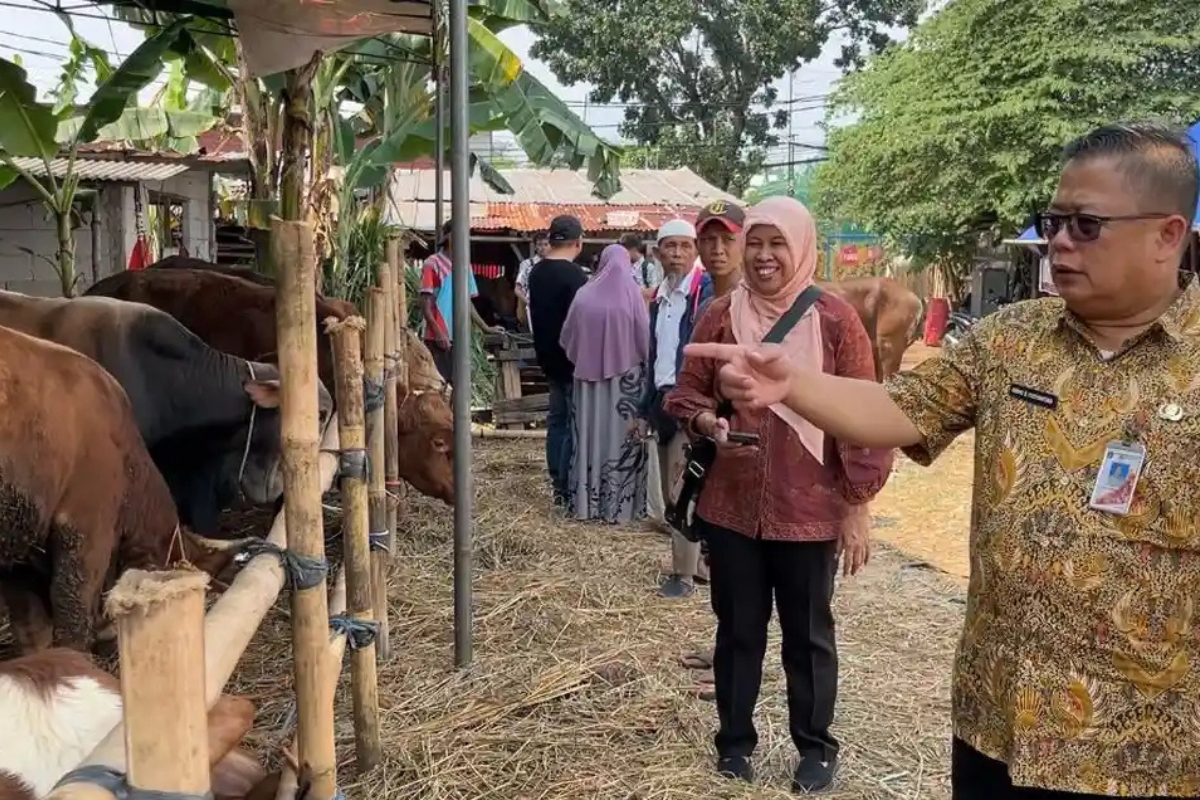 Jelang Idul Adha, Sudin KPKP Jaksel Gencar Periksa Hewan Kurban