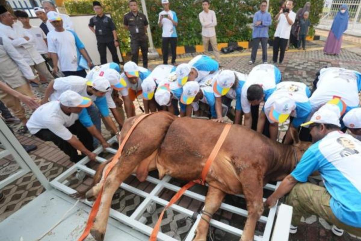 Dinas KPKP DKI Gencarkan Edukasi Penanganan Hewan Kurban