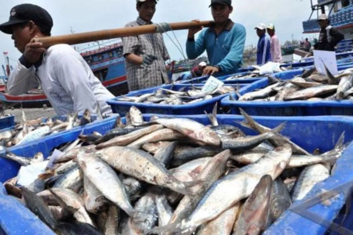 Bontang Siapkan Industri Pengalengan Ikan Dorong Ekonomi Laut