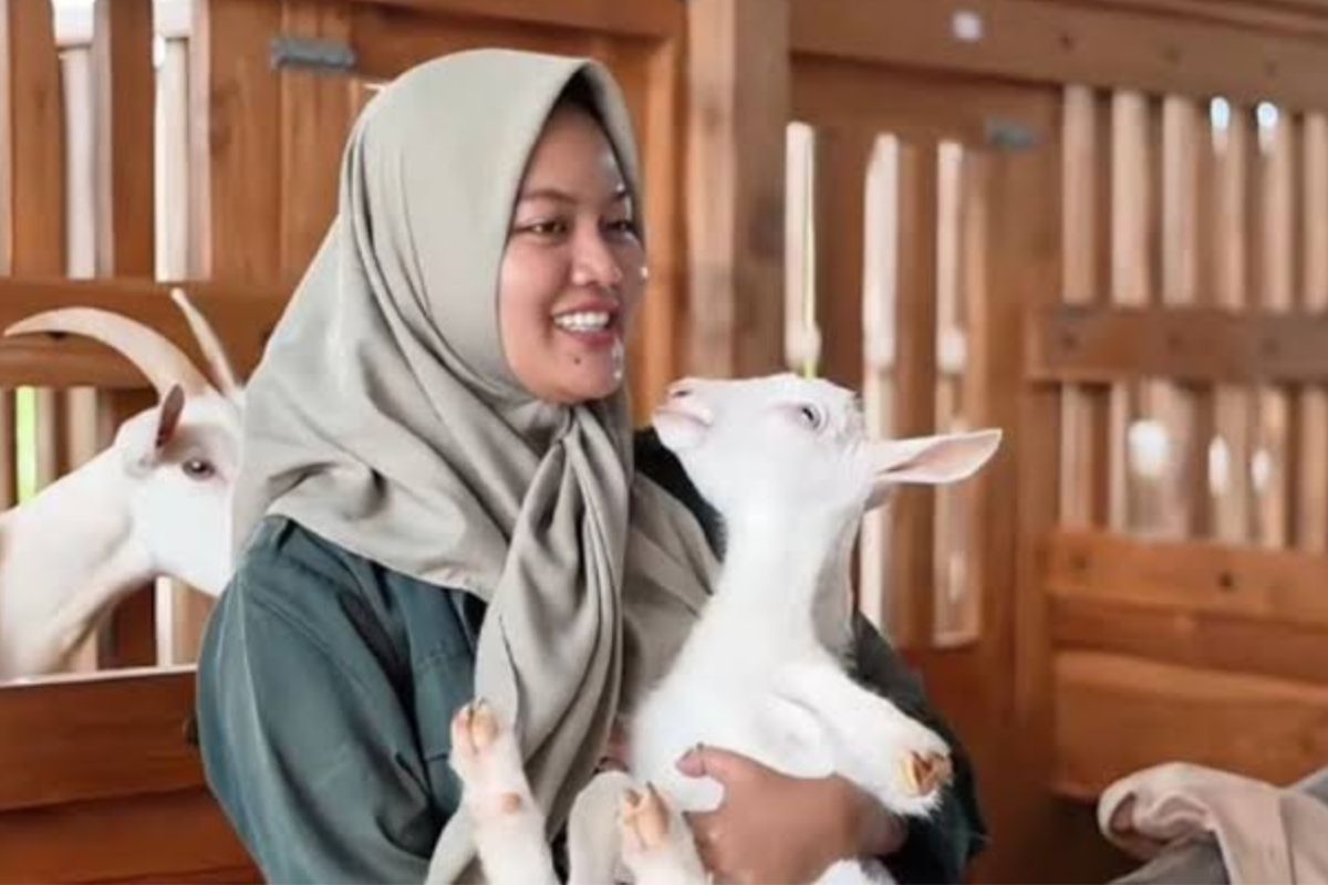 Kisah Mila, Lulusan Peternakan UGM Beromzet Puluhan Juta per Bulan