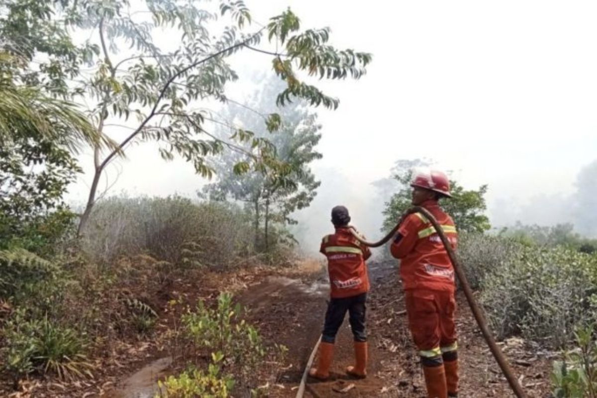 Kilas Humaniora: Kabar Menkeu Batal Haji & Karhutla Riau Terkini