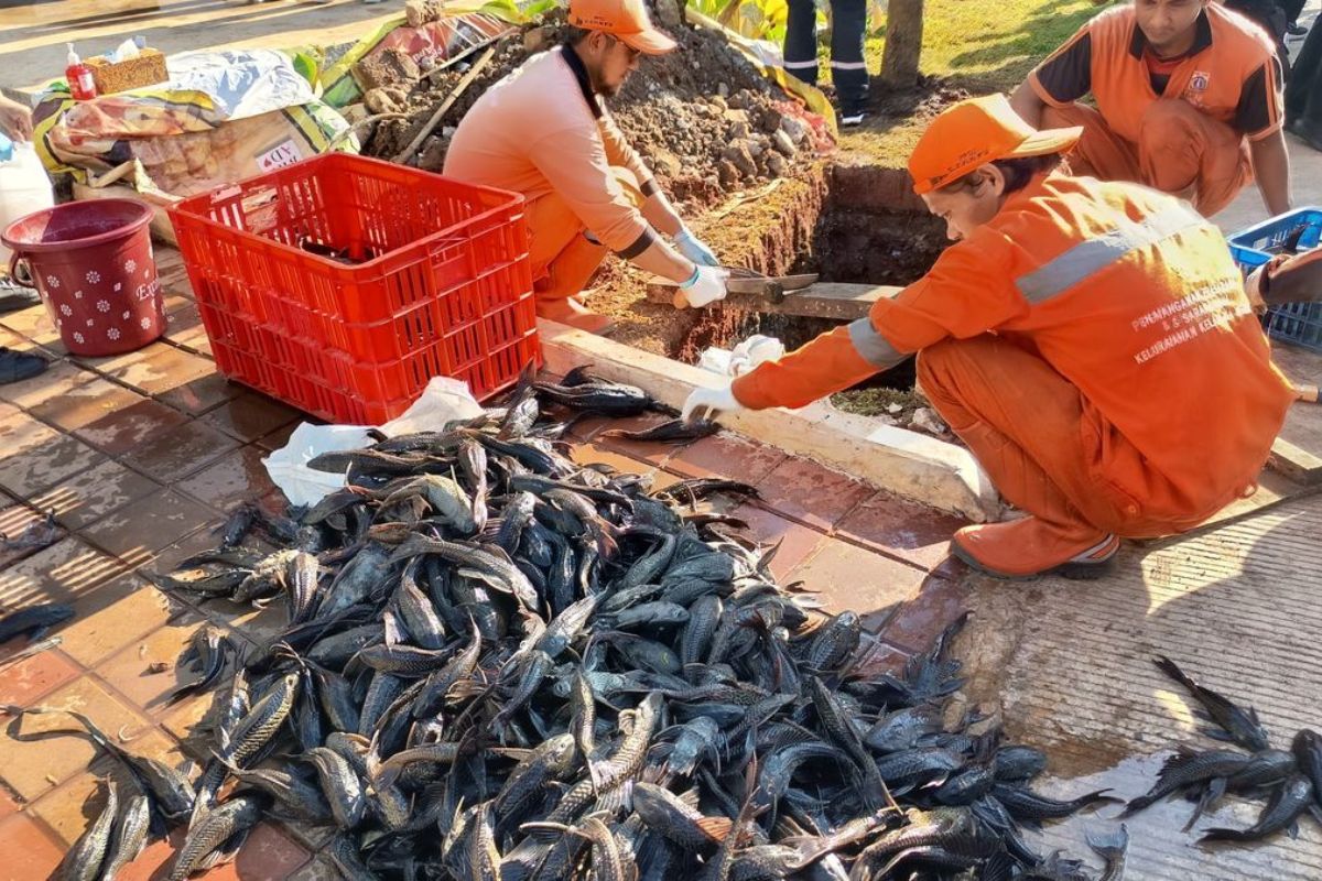 Hukum Ikan Sapu & Human Composting Hasil Bahtsul Masail Tebuireng